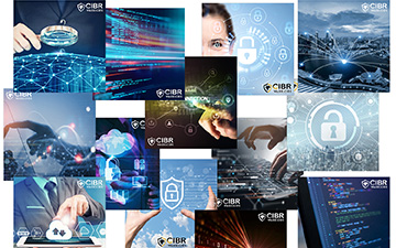 Digital ads for CIBR Warriors.